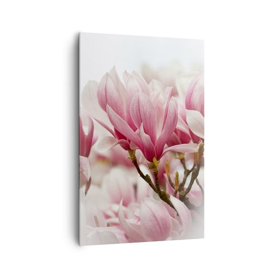 Obraz na płótnie - Kwiaty wiosny - 80x120cm - Magnolia Kwiat Delikatny - Nowoczesny obraz na ścianę do salonu do sypialni ARTTOR ARTTOR