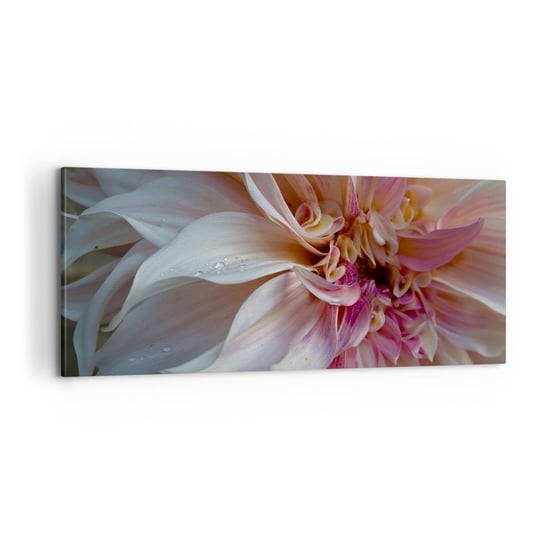 Obraz na płótnie - Kwitnąca świeżość - 100x40cm - Kwiat Dalia Roślina - Nowoczesny foto obraz w ramie do salonu do sypialni ARTTOR ARTTOR