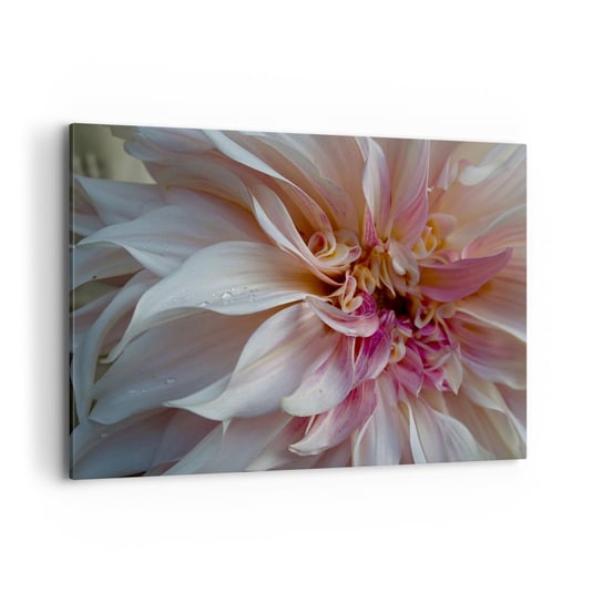 Obraz na płótnie - Kwitnąca świeżość - 100x70cm - Kwiat Dalia Roślina - Nowoczesny foto obraz w ramie do salonu do sypialni ARTTOR ARTTOR