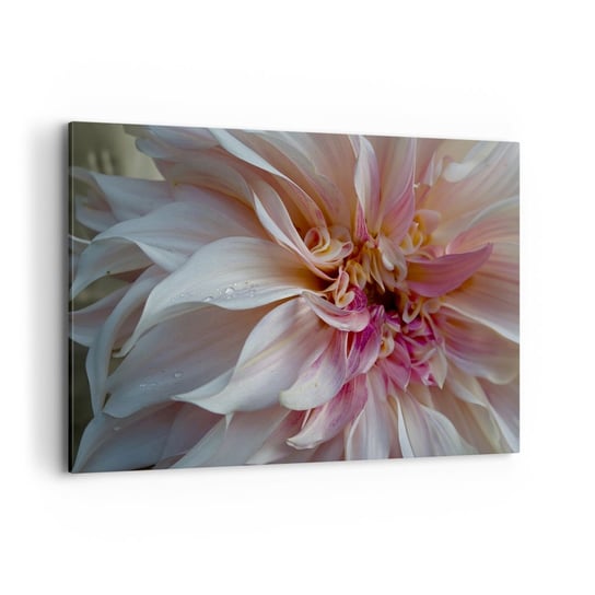 Obraz na płótnie - Kwitnąca świeżość - 120x80cm - Kwiat Dalia Roślina - Nowoczesny obraz na ścianę do salonu do sypialni ARTTOR ARTTOR