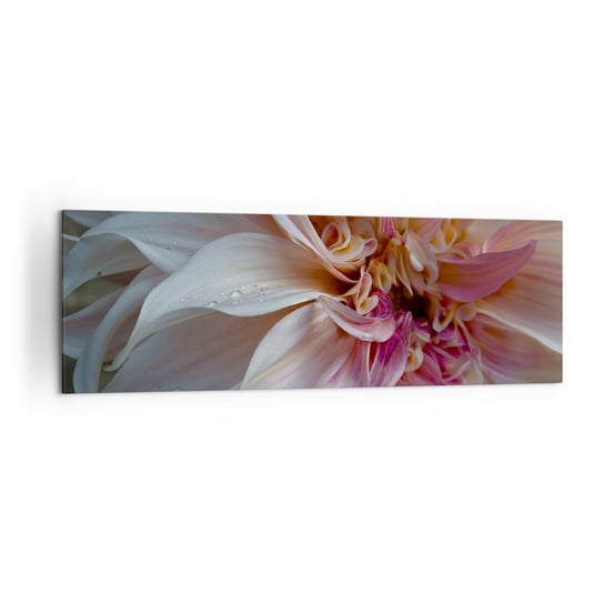 Obraz na płótnie - Kwitnąca świeżość - 160x50cm - Kwiat Dalia Roślina - Nowoczesny foto obraz w ramie do salonu do sypialni ARTTOR ARTTOR