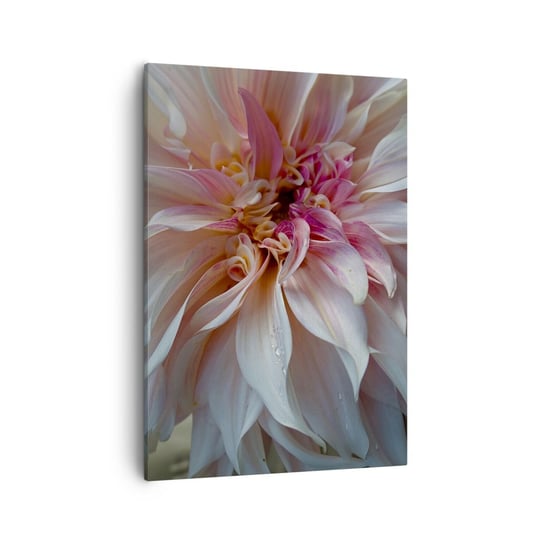 Obraz na płótnie - Kwitnąca świeżość - 50x70cm - Kwiat Dalia Roślina - Nowoczesny Canvas obraz do salonu do sypialni ARTTOR ARTTOR