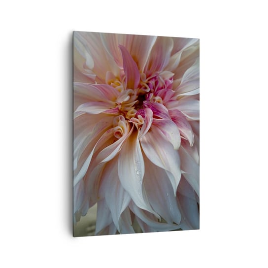 Obraz na płótnie - Kwitnąca świeżość - 70x100cm - Kwiat Dalia Roślina - Nowoczesny foto obraz w ramie do salonu do sypialni ARTTOR ARTTOR