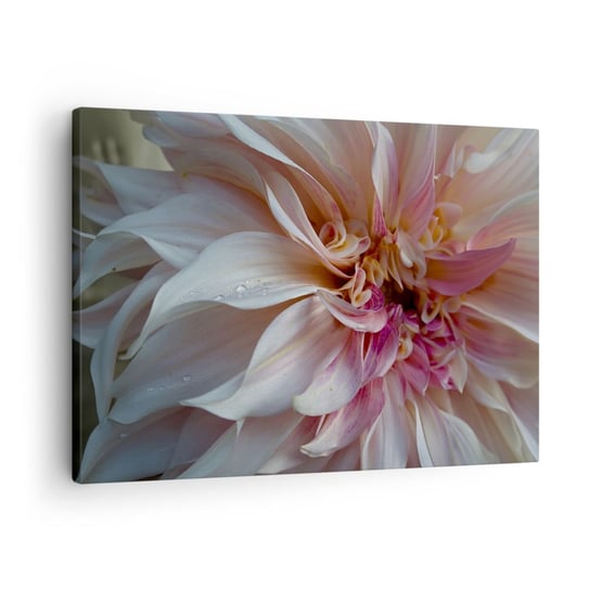 Obraz na płótnie - Kwitnąca świeżość - 70x50cm - Kwiat Dalia Roślina - Nowoczesny Canvas obraz do salonu do sypialni ARTTOR ARTTOR