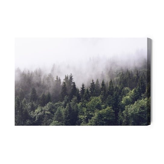 Obraz Na Płótnie Las Owiany Mgłą 40x30 Inna marka