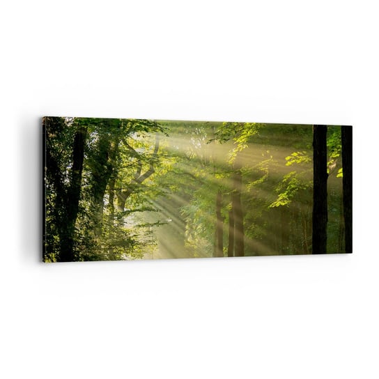 Obraz na płótnie - Leśna chwila - 100x40cm - Krajobraz Las Natura - Nowoczesny foto obraz w ramie do salonu do sypialni ARTTOR ARTTOR