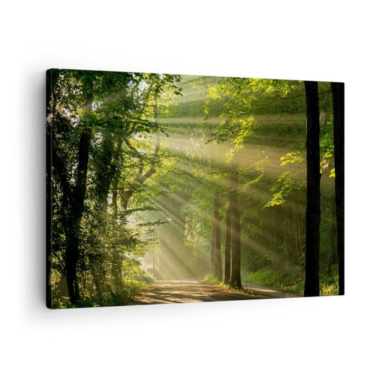Obraz na płótnie - Leśna chwila - 70x50cm - Krajobraz Las Natura - Nowoczesny Canvas obraz do salonu do sypialni ARTTOR ARTTOR