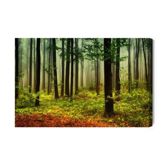 Obraz Na Płótnie Leśny Pejzaż 3D 100x70 NC Inna marka