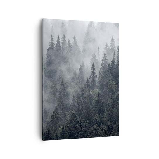 Obraz na płótnie - Leśny świt - 50x70cm - Krajobraz Las Natura - Nowoczesny Canvas obraz do salonu do sypialni ARTTOR ARTTOR