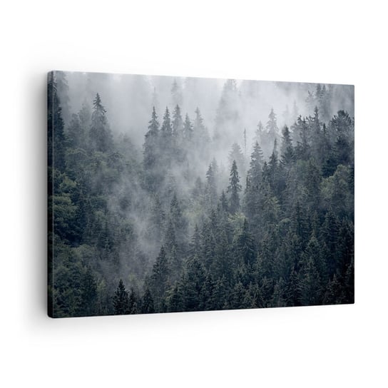 Obraz na płótnie - Leśny świt - 70x50cm - Krajobraz Las Natura - Nowoczesny Canvas obraz do salonu do sypialni ARTTOR ARTTOR