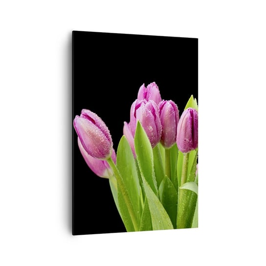 Obraz na płótnie - Liliowa radość wiosny - 70x100cm - Kwiaty Tulipany Bukiet Kwiatów - Nowoczesny foto obraz w ramie do salonu do sypialni ARTTOR ARTTOR
