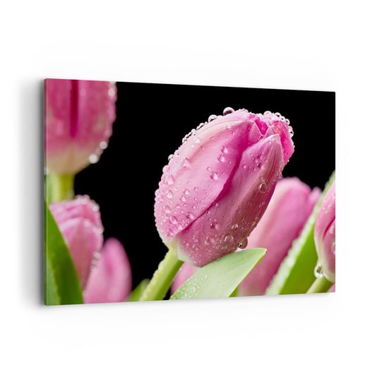 Obraz na płótnie - Liliowy sen w rosie - 120x80cm - Kwiaty Tulipany Bukiet Kwiatów - Nowoczesny obraz na ścianę do salonu do sypialni ARTTOR ARTTOR