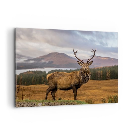 Obraz na płótnie - Majestat natury - 100x70cm - Zwierzęta Jeleń Krajobraz - Nowoczesny foto obraz w ramie do salonu do sypialni ARTTOR ARTTOR