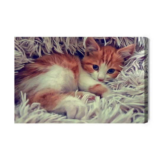 Obraz Na Płótnie Małe Kocię Jak Namalowane 120x80 NC Inna marka