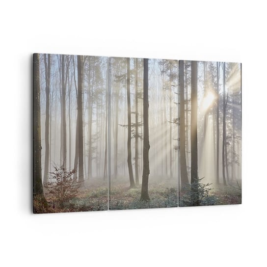 Obraz na płótnie - Mgła też się zbudziła - 105x70 cm - Obraz nowoczesny - Krajobraz, Las, Mgła, Drzewa, Natura - CE105x70-3749 ARTTOR