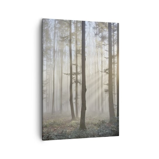 Obraz na płótnie - Mgła też się zbudziła - 50x70cm - Krajobraz Las Mgła - Nowoczesny Canvas obraz do salonu do sypialni ARTTOR ARTTOR