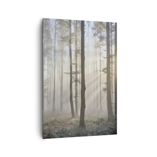 Obraz na płótnie - Mgła też się zbudziła - 70x100cm - Krajobraz Las Mgła - Nowoczesny foto obraz w ramie do salonu do sypialni ARTTOR ARTTOR