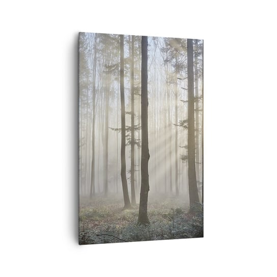 Obraz na płótnie - Mgła też się zbudziła - 80x120cm - Krajobraz Las Mgła - Nowoczesny obraz na ścianę do salonu do sypialni ARTTOR ARTTOR