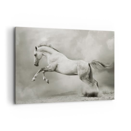 Obraz na płótnie - Między jawą a snem - 100x70cm - Zwierzęta Koń Natura - Nowoczesny foto obraz w ramie do salonu do sypialni ARTTOR ARTTOR