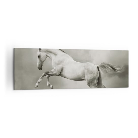Obraz na płótnie - Między jawą a snem - 160x50cm - Zwierzęta Koń Natura - Nowoczesny foto obraz w ramie do salonu do sypialni ARTTOR ARTTOR