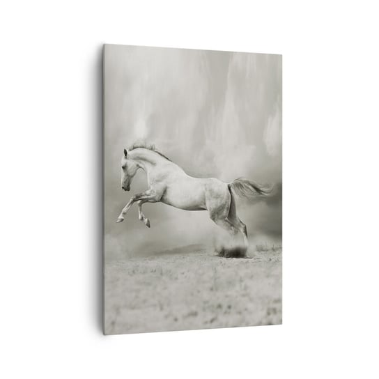Obraz na płótnie - Między jawą a snem - 70x100cm - Zwierzęta Koń Natura - Nowoczesny foto obraz w ramie do salonu do sypialni ARTTOR ARTTOR