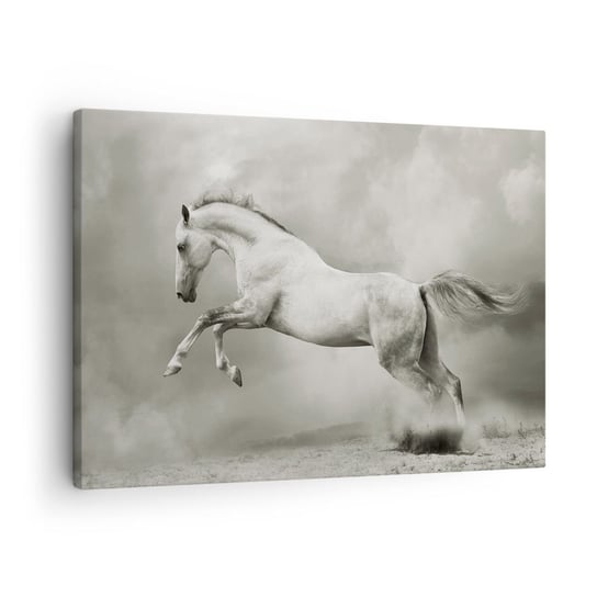 Obraz na płótnie - Między jawą a snem - 70x50cm - Zwierzęta Koń Natura - Nowoczesny Canvas obraz do salonu do sypialni ARTTOR ARTTOR