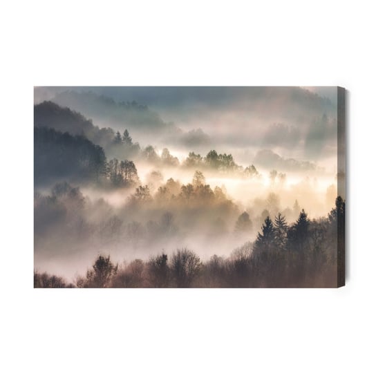 Obraz Na Płótnie Mist In Forest With Sunbeam Rays, Woods Landscape 70x50 Inna marka
