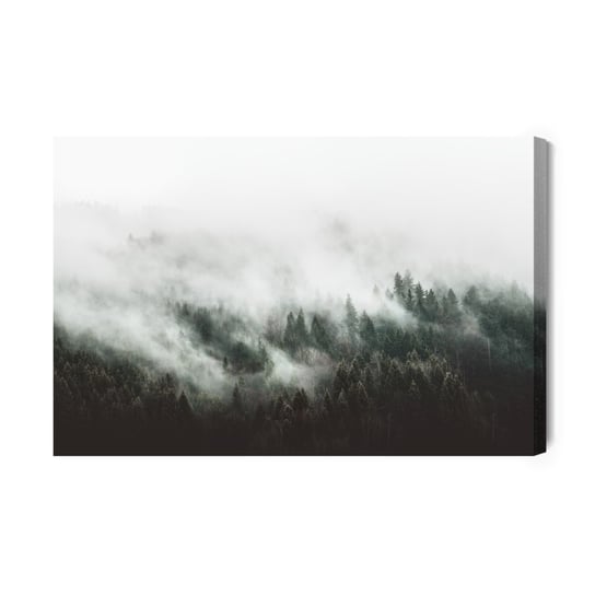 Obraz Na Płótnie Moody Forest Landscape With Fog And Mist 100x70 Inna marka