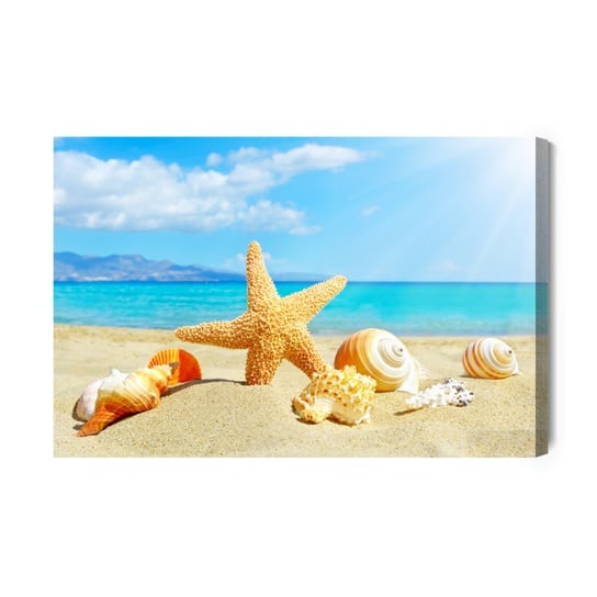 Obraz Na Płótnie Morze Plaża I Muszelki 100x70 Inna marka