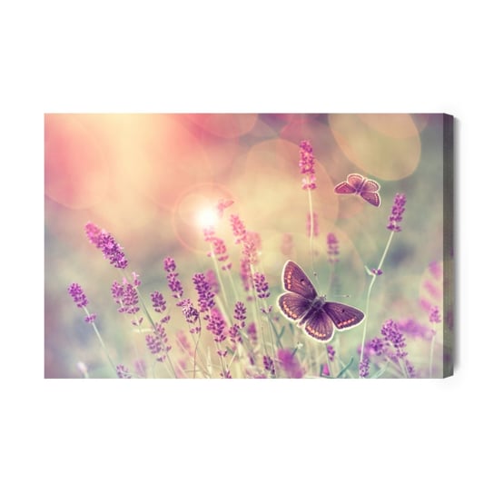 Obraz Na Płótnie Motyle I Kwiaty Lawendy 120x80 NC Inna marka
