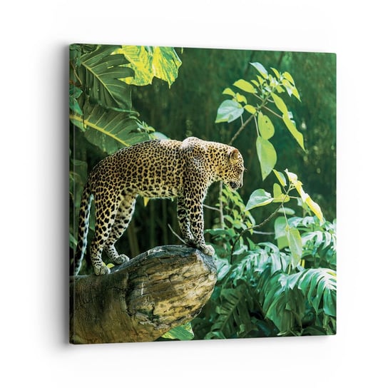 Obraz na płótnie - Na łowy? - 40x40 cm - Obraz nowoczesny - Dżungla, Lampart, Tropiki, Zwierzęta, Natura - AC40x40-4502 ARTTOR