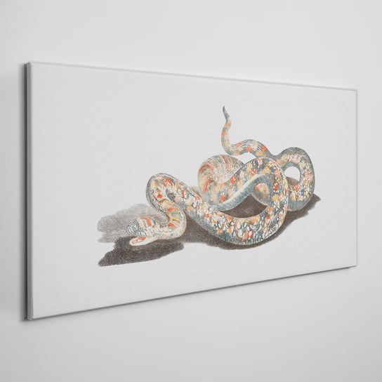 Obraz Na Płótnie na ramie Zwierzę wąż 100x50 cm Coloray