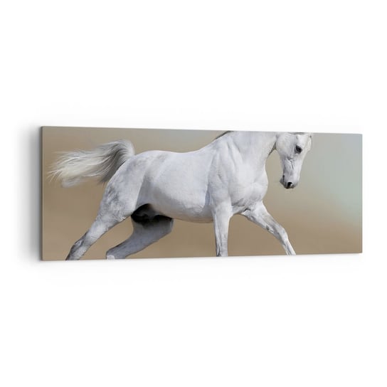 Obraz na płótnie - Najpiękniejsza arabska baśń - 140x50cm - Koń Zwierzęta Galop - Nowoczesny Canvas obraz do salonu do sypialni ARTTOR ARTTOR
