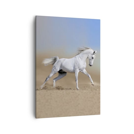 Obraz na płótnie - Najpiękniejsza arabska baśń - 50x70cm - Koń Zwierzęta Galop - Nowoczesny Canvas obraz do salonu do sypialni ARTTOR ARTTOR
