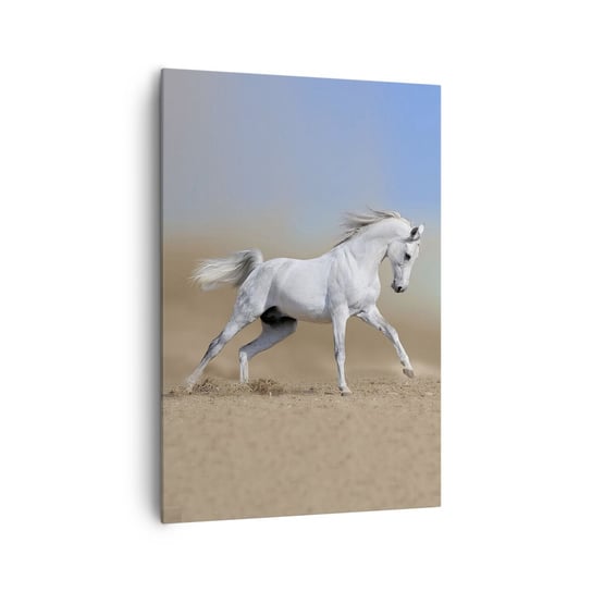 Obraz na płótnie - Najpiękniejsza arabska baśń - 70x100cm - Koń Zwierzęta Galop - Nowoczesny foto obraz w ramie do salonu do sypialni ARTTOR ARTTOR