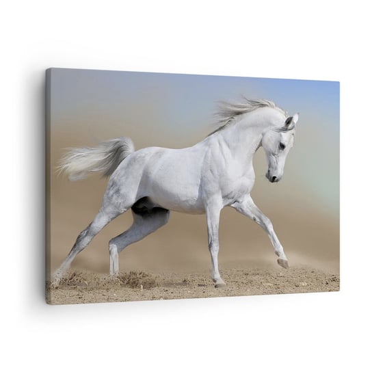 Obraz na płótnie - Najpiękniejsza arabska baśń - 70x50cm - Koń Zwierzęta Galop - Nowoczesny Canvas obraz do salonu do sypialni ARTTOR ARTTOR