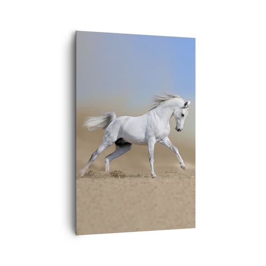 Obraz na płótnie - Najpiękniejsza arabska baśń - 80x120cm - Koń Zwierzęta Galop - Nowoczesny obraz na ścianę do salonu do sypialni ARTTOR ARTTOR
