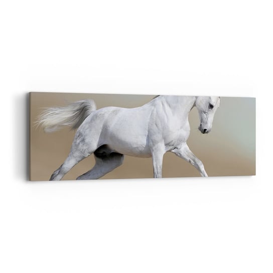 Obraz na płótnie - Najpiękniejsza arabska baśń - 90x30cm - Koń Zwierzęta Galop - Nowoczesny Canvas obraz do salonu do sypialni ARTTOR ARTTOR