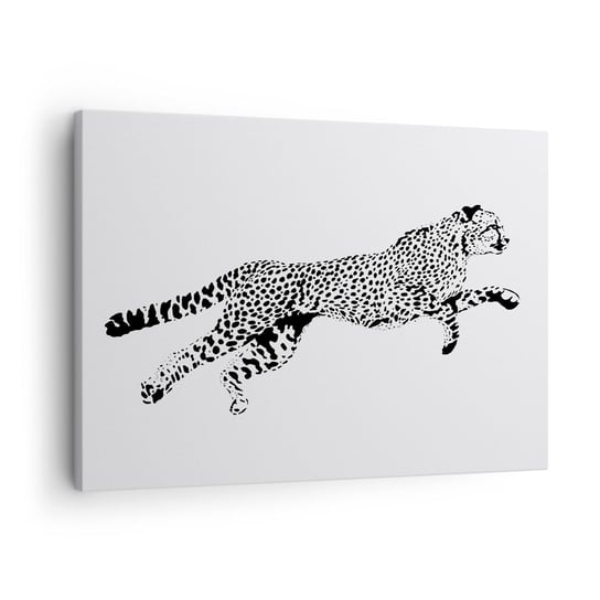 Obraz na płótnie - Najszybszy na Ziemi - 70x50 cm - Obraz nowoczesny - Zwierzęta, Gepard, Dziki Kot, Safari, Dżungla - AA70x50-3128 ARTTOR