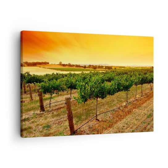 Obraz na płótnie - Napić się słońca - 70x50cm - Krajobraz Winnica Zachód Słońca - Nowoczesny Canvas obraz do salonu do sypialni ARTTOR ARTTOR