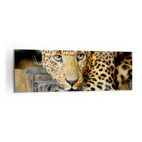 Obraz na płótnie - Nie bój się, podejdź - 160x50cm - Zwierzęta Pantera Dziki Kot - Nowoczesny foto obraz w ramie do salonu do sypialni ARTTOR ARTTOR