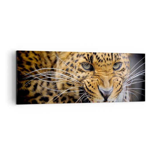 Obraz na płótnie - Nie podchodź, ostrzegam! - 140x50cm - Zwierzęta Lampart Dziki Kot - Nowoczesny Canvas obraz do salonu do sypialni ARTTOR ARTTOR