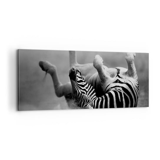 Obraz na płótnie - Nie tylko koń by się uśmiał - 100x40cm - Zwierzęta Zebra Natura - Nowoczesny foto obraz w ramie do salonu do sypialni ARTTOR ARTTOR