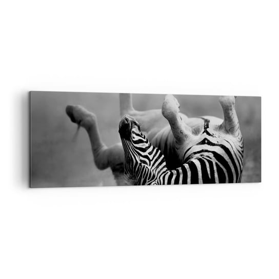 Obraz na płótnie - Nie tylko koń by się uśmiał - 140x50cm - Zwierzęta Zebra Natura - Nowoczesny Canvas obraz do salonu do sypialni ARTTOR ARTTOR