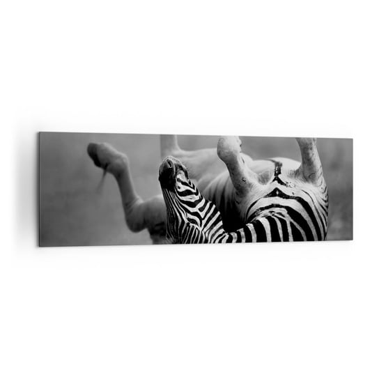 Obraz na płótnie - Nie tylko koń by się uśmiał - 160x50cm - Zwierzęta Zebra Natura - Nowoczesny foto obraz w ramie do salonu do sypialni ARTTOR ARTTOR