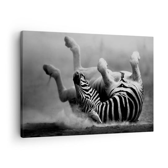 Obraz na płótnie - Nie tylko koń by się uśmiał - 70x50cm - Zwierzęta Zebra Natura - Nowoczesny Canvas obraz do salonu do sypialni ARTTOR ARTTOR
