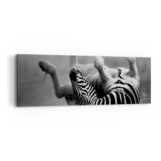 Obraz na płótnie - Nie tylko koń by się uśmiał - 90x30cm - Zwierzęta Zebra Natura - Nowoczesny Canvas obraz do salonu do sypialni ARTTOR ARTTOR