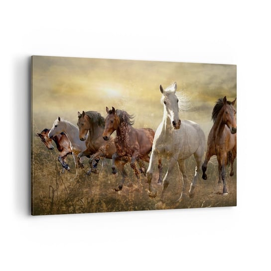 Obraz na płótnie - Niech żyje wolność! - 100x70cm - Zwierzęta Koń Galop - Nowoczesny foto obraz w ramie do salonu do sypialni ARTTOR ARTTOR