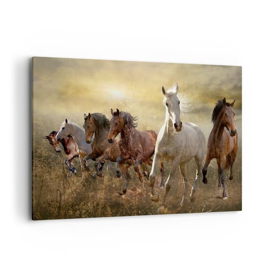Obraz na płótnie - Niech żyje wolność! - 120x80 cm - Obraz nowoczesny - Zwierzęta, Koń, Galop, Natura, Dzikie Konie - AA120x80-3640 ARTTOR