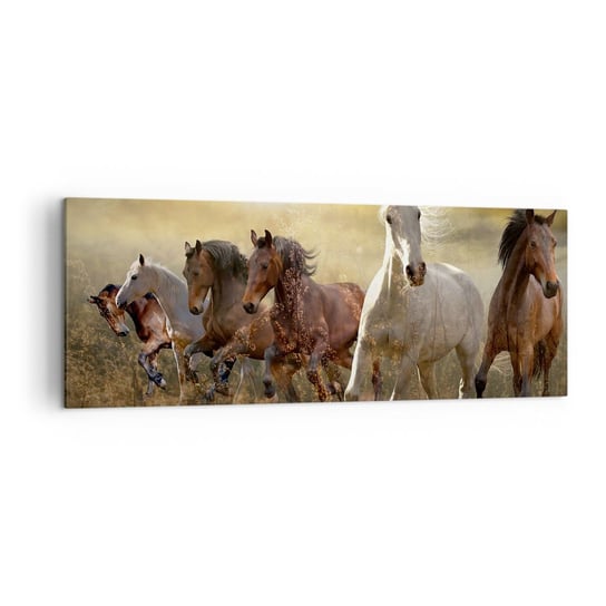 Obraz na płótnie - Niech żyje wolność! - 140x50cm - Zwierzęta Koń Galop - Nowoczesny Canvas obraz do salonu do sypialni ARTTOR ARTTOR